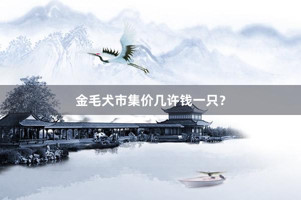 金毛犬市集价几许钱一只?