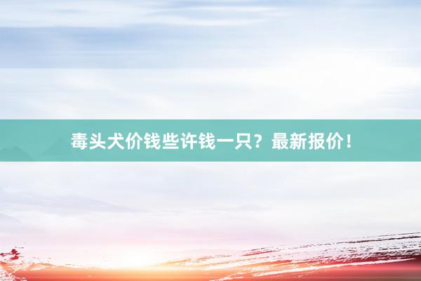 毒头犬价钱些许钱一只？最新报价！