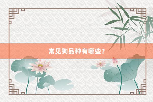 常见狗品种有哪些？